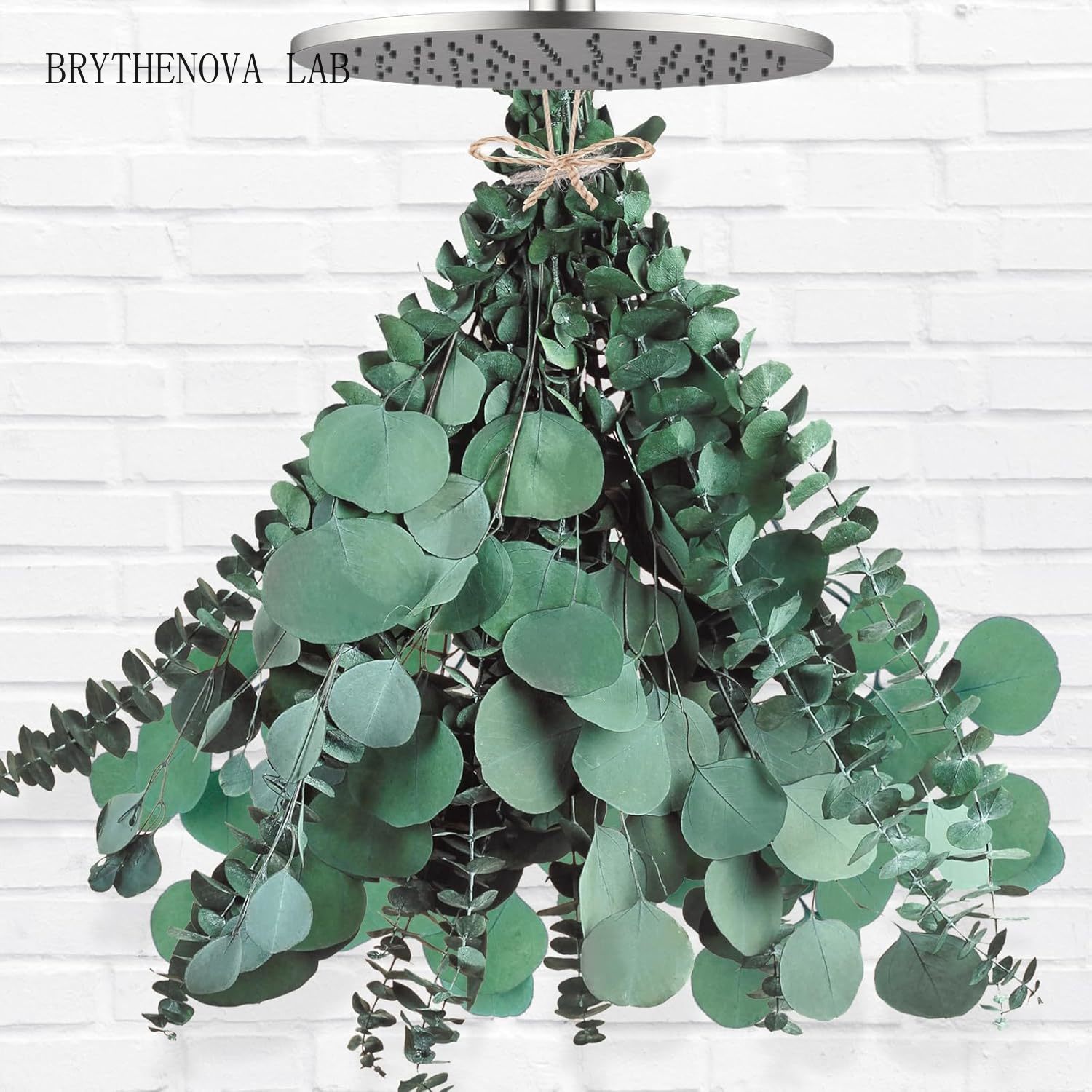 12 Pcs Large Dried Eucalyptus  - Home Decor Garland recension och pris